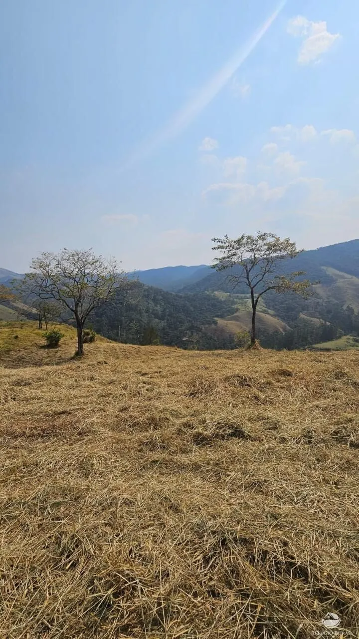 Plot for sale of 6 acres in São José dos Campos, SP, Brazil