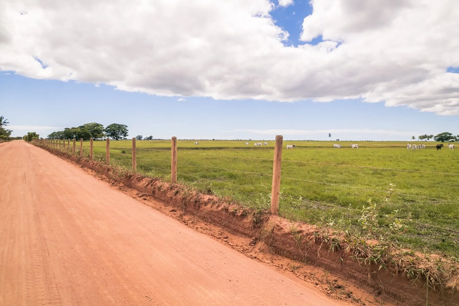 Fazenda à venda de 532 ha em Linhares, ES, Brasil