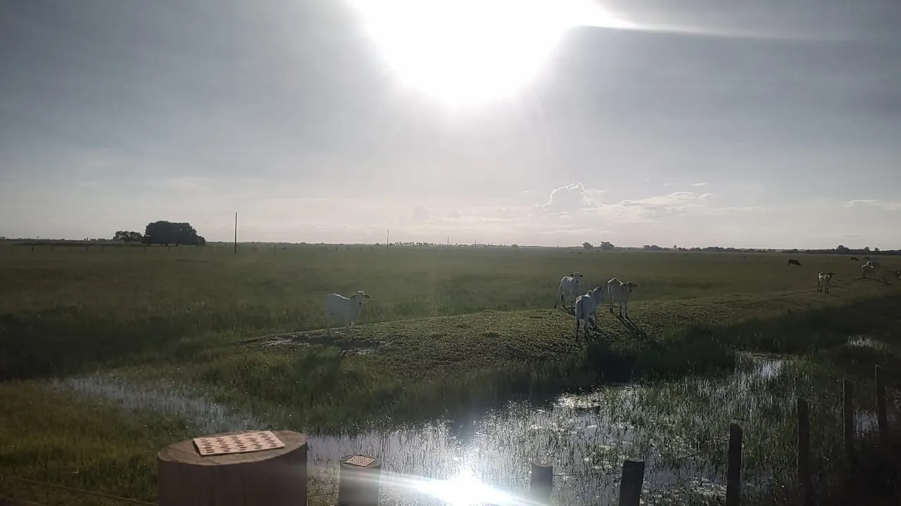 Fazenda à venda de 532 ha em Linhares, ES, Brasil