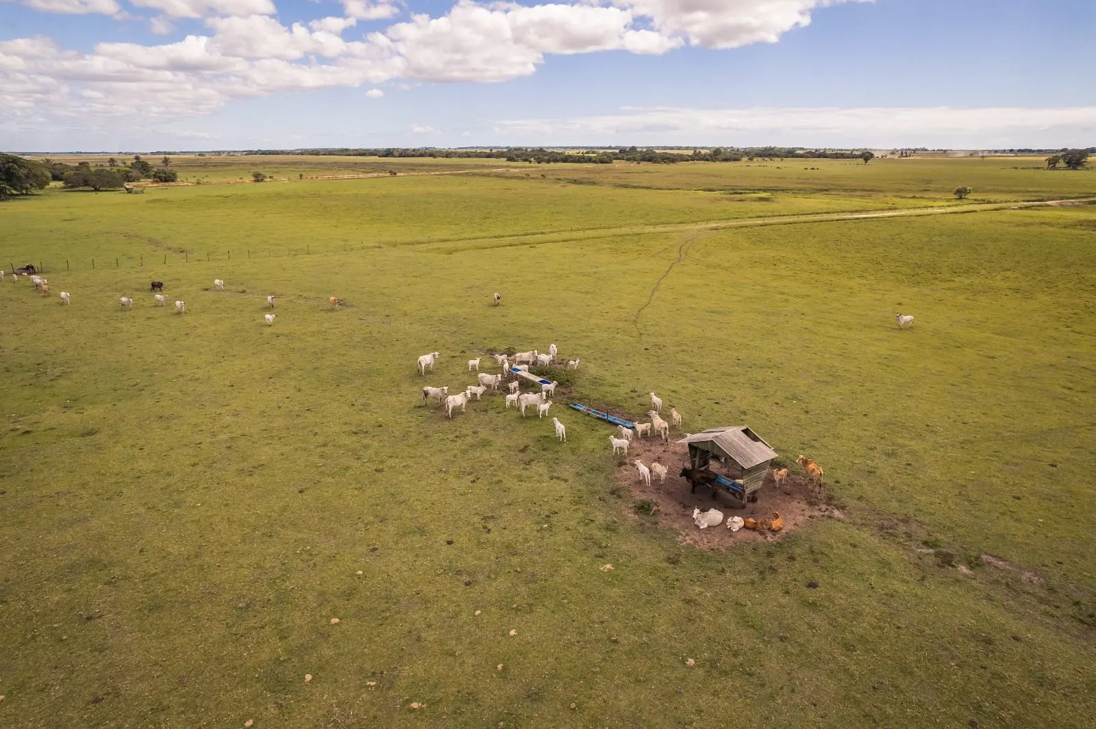 Fazenda à venda de 532 ha em Linhares, ES, Brasil
