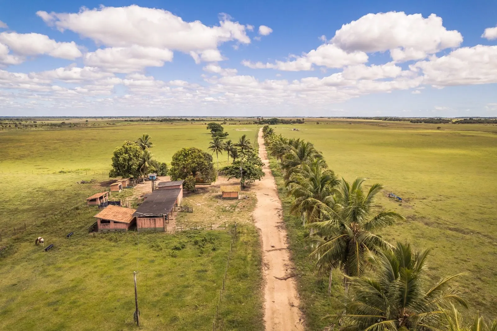 Fazenda à venda de 532 ha em Linhares, ES, Brasil