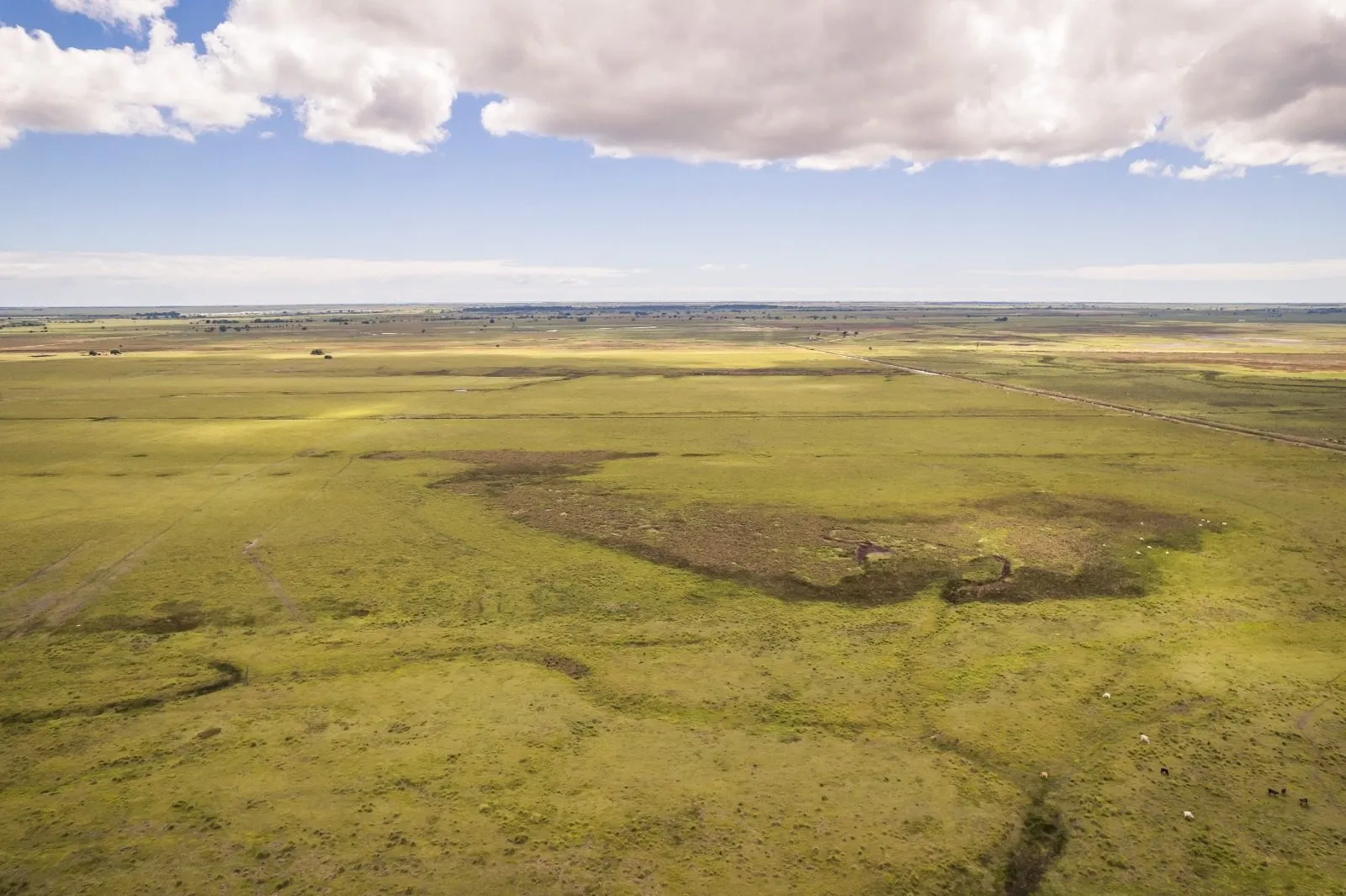 Fazenda à venda de 532 ha em Linhares, ES, Brasil
