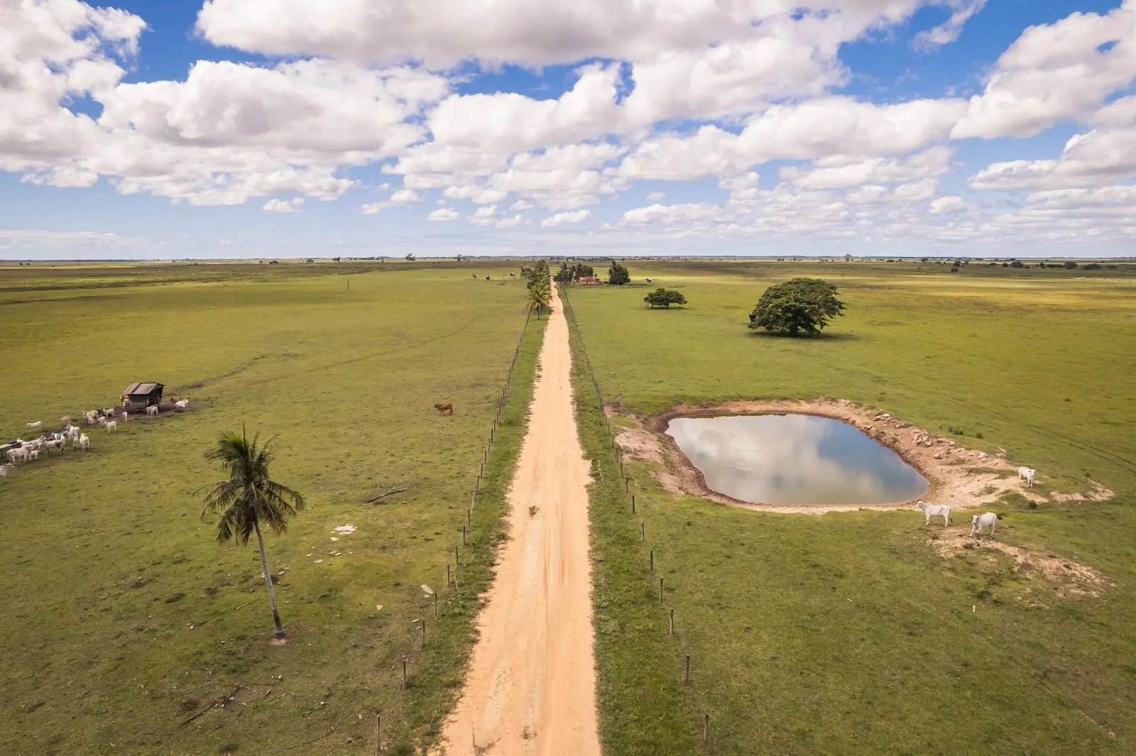 Fazenda à venda de 532 ha em Linhares, ES, Brasil