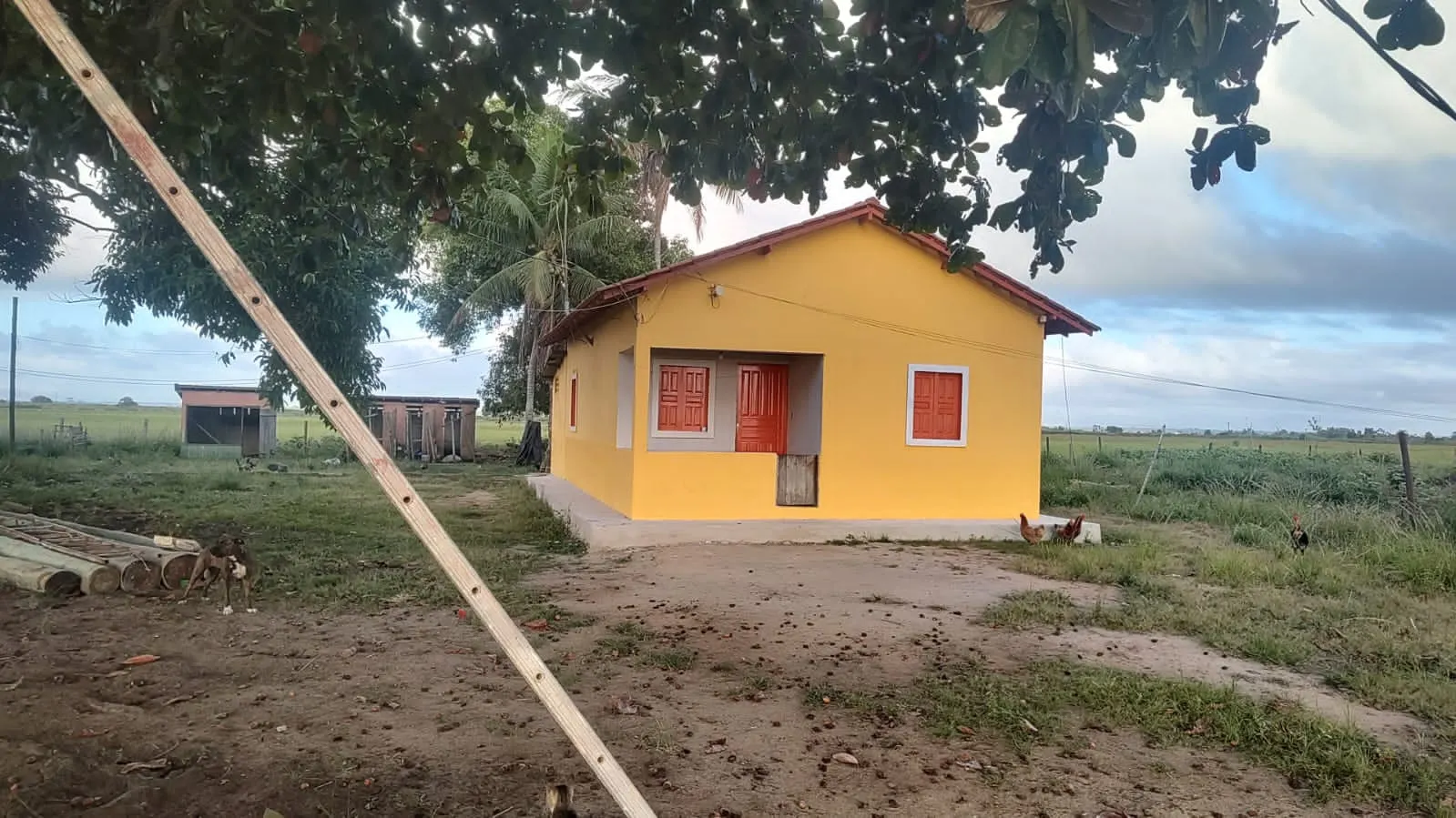 Fazenda à venda de 532 ha em Linhares, ES, Brasil