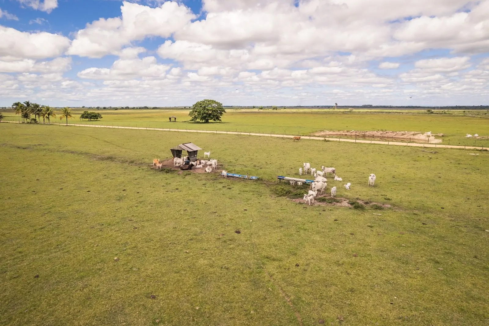 Fazenda à venda de 532 ha em Linhares, ES, Brasil