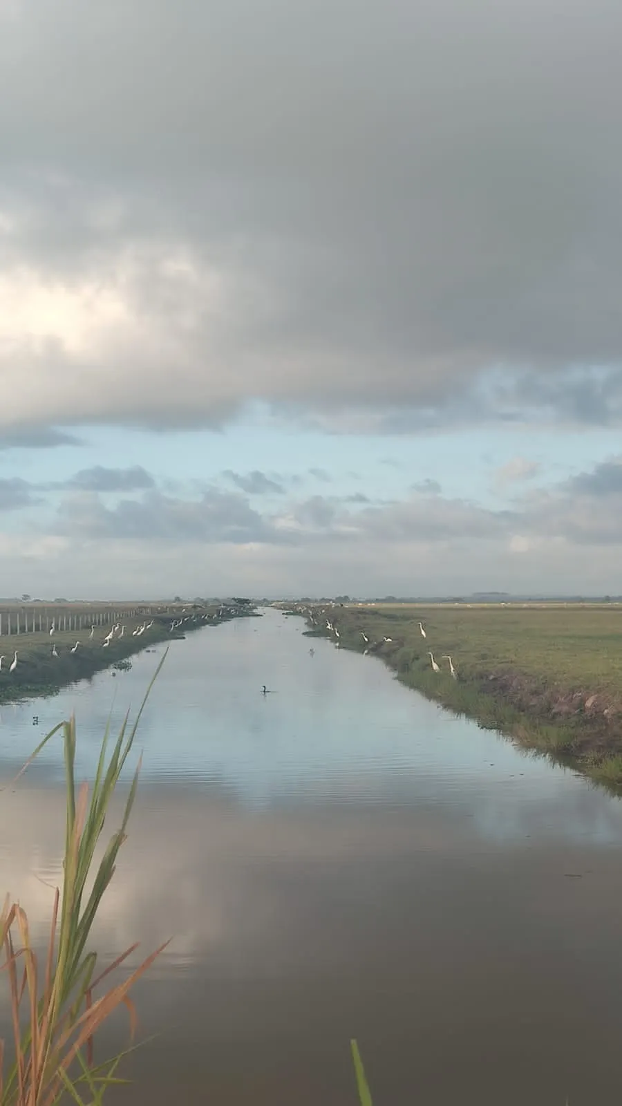 Fazenda à venda de 532 ha em Linhares, ES, Brasil