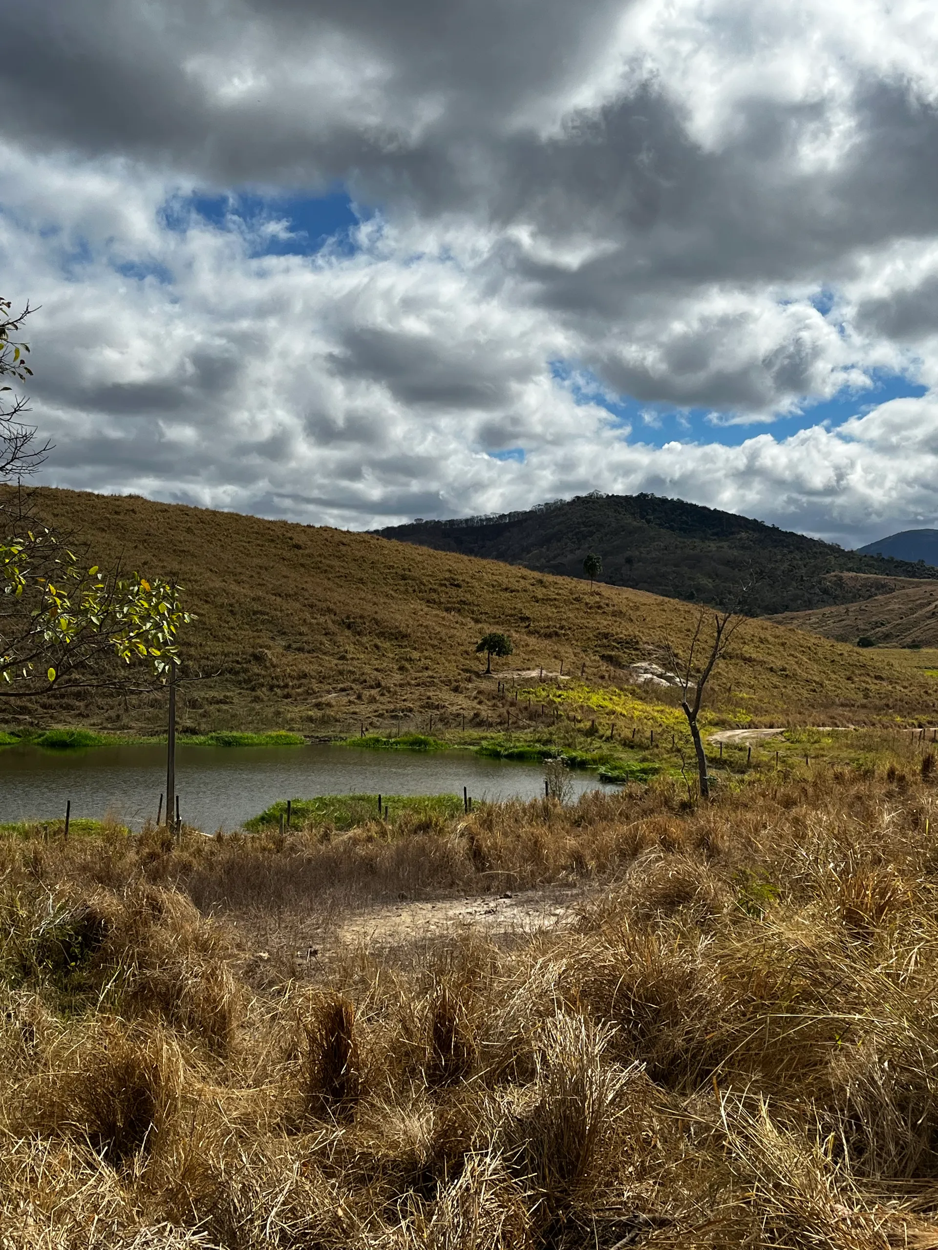 Fazenda à venda de 546 ha em Mathias Lobato, MG, Brasil