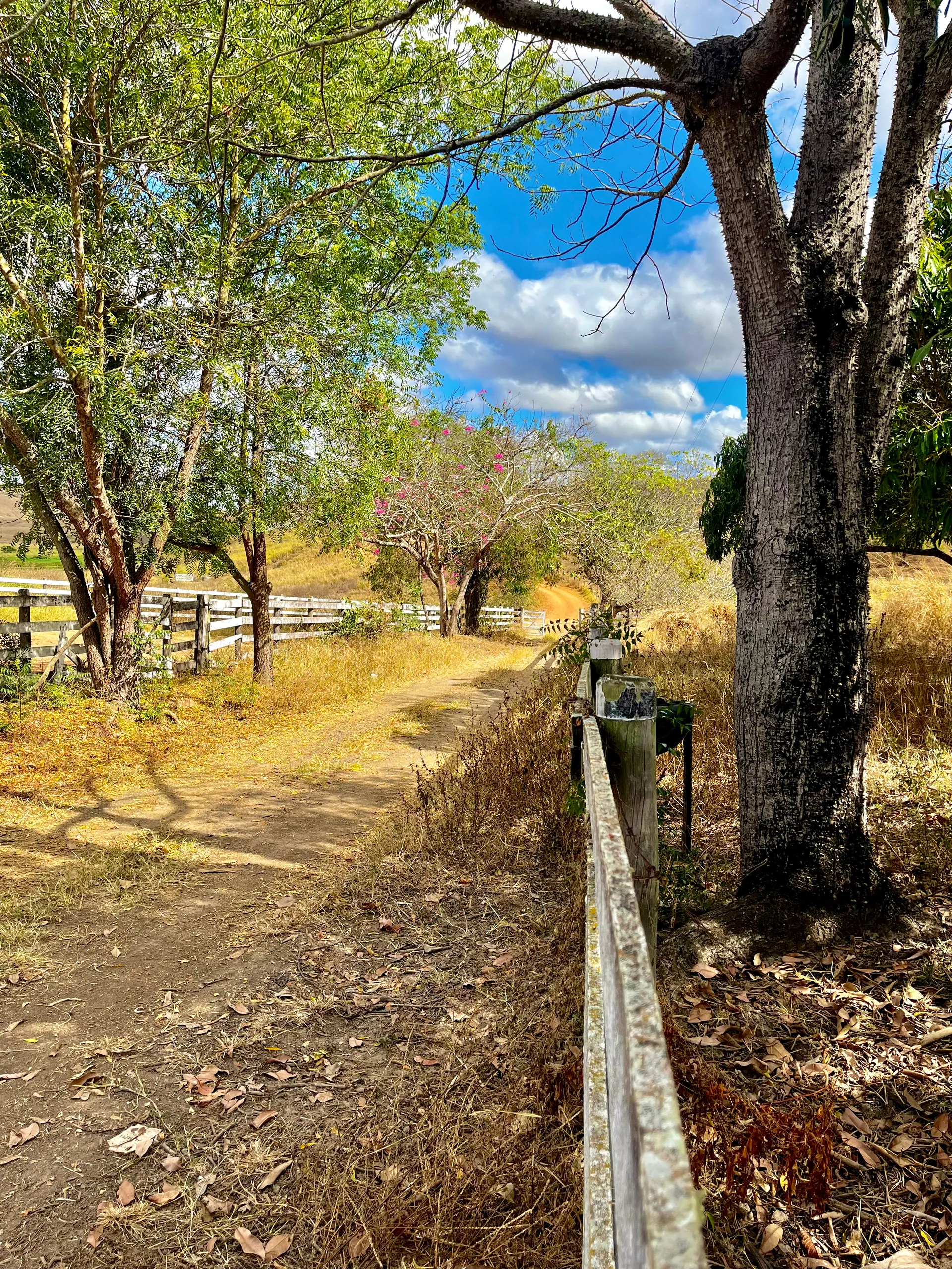 Fazenda à venda de 546 ha em Mathias Lobato, MG, Brasil