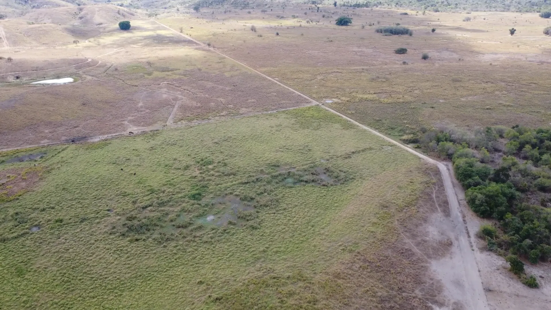 Fazenda à venda de 546 ha em Mathias Lobato, MG, Brasil