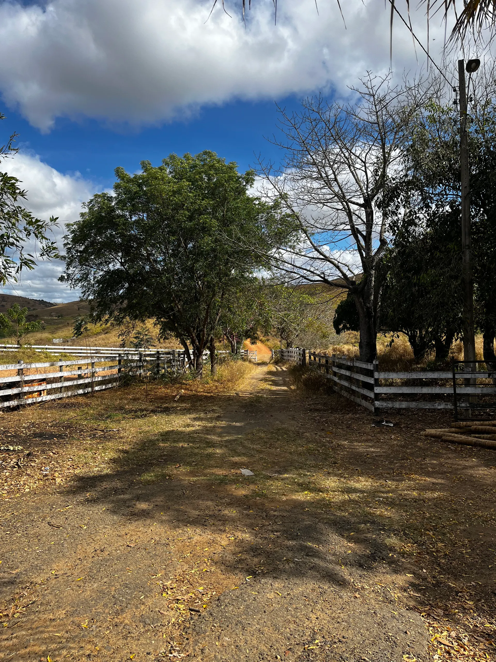 Fazenda à venda de 546 ha em Mathias Lobato, MG, Brasil