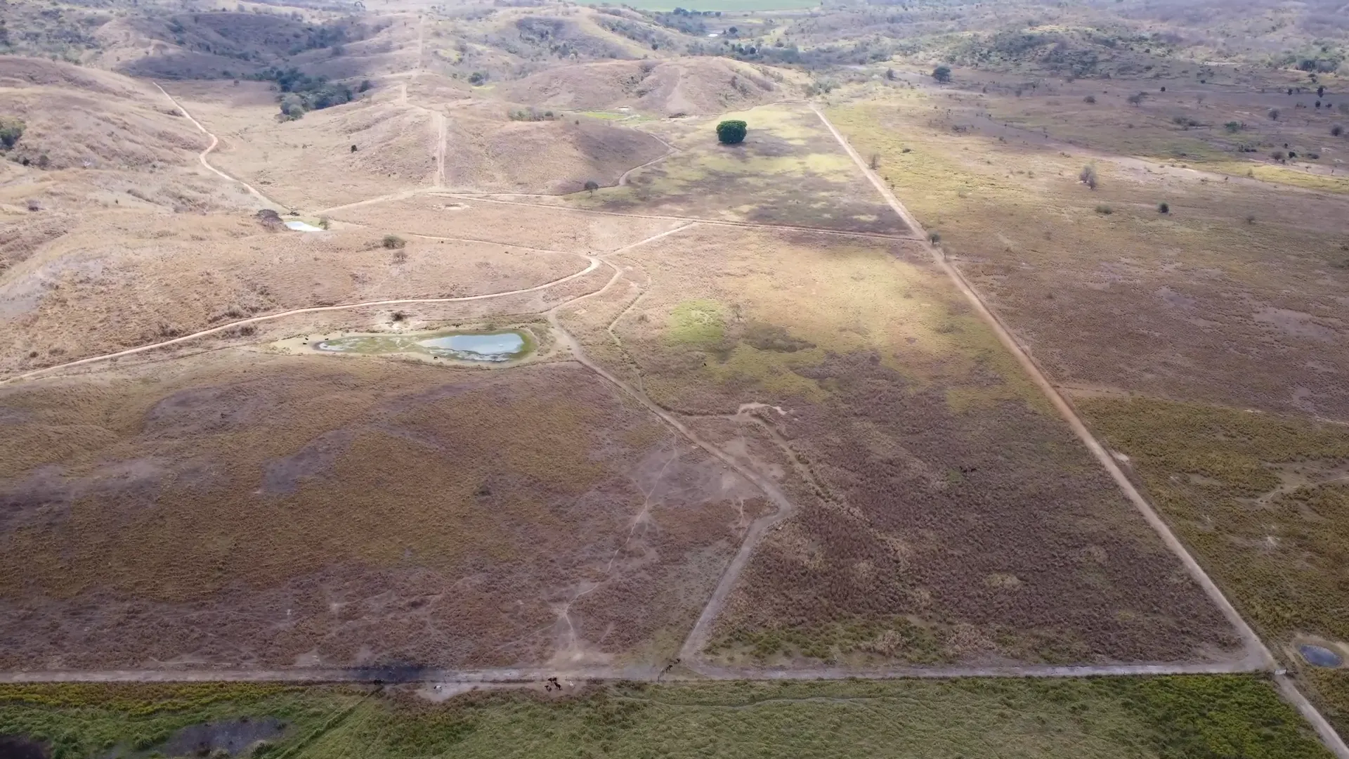 Fazenda à venda de 546 ha em Mathias Lobato, MG, Brasil
