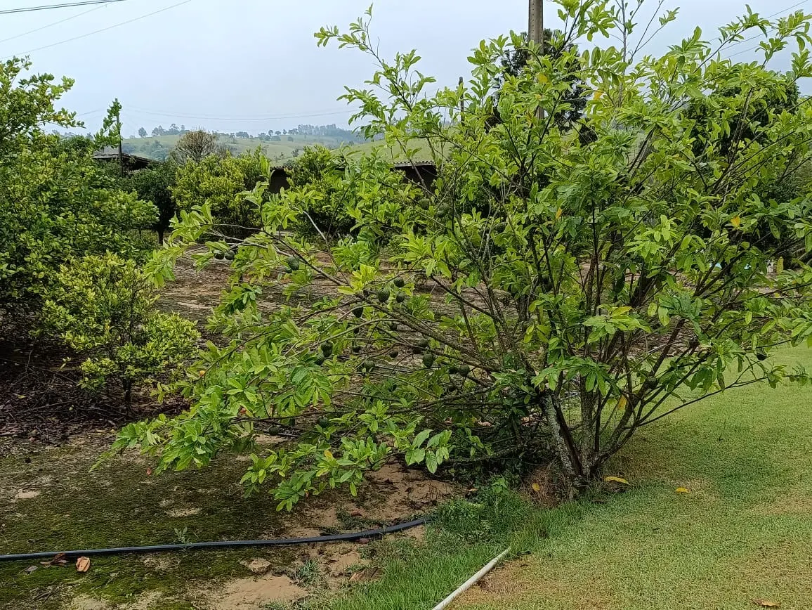 Fazenda à venda de 18 ha em Tatuí, SP, Brasil