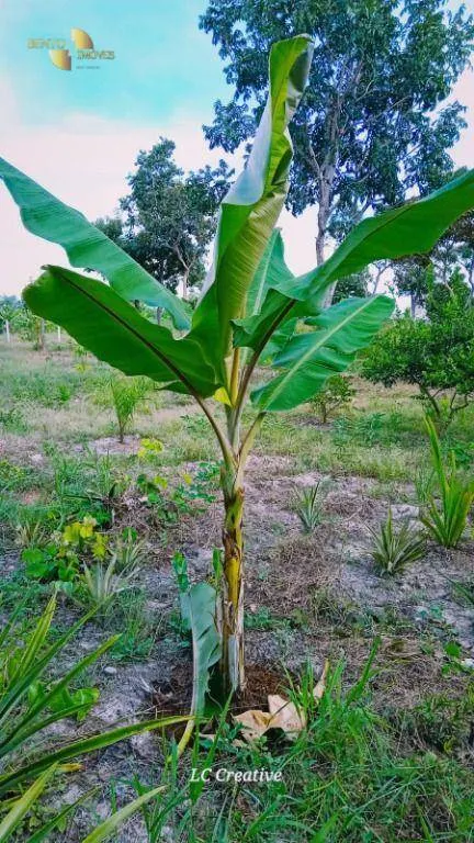 Chácara à venda de 2 ha em Cuiabá, MT, Brasil