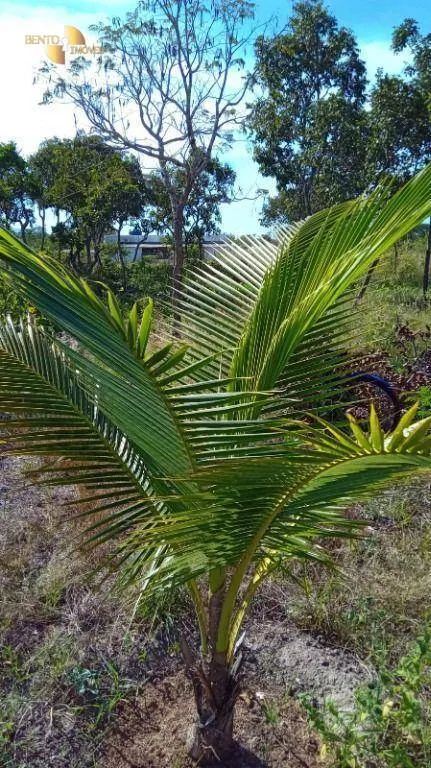 Chácara à venda de 2 ha em Cuiabá, MT, Brasil