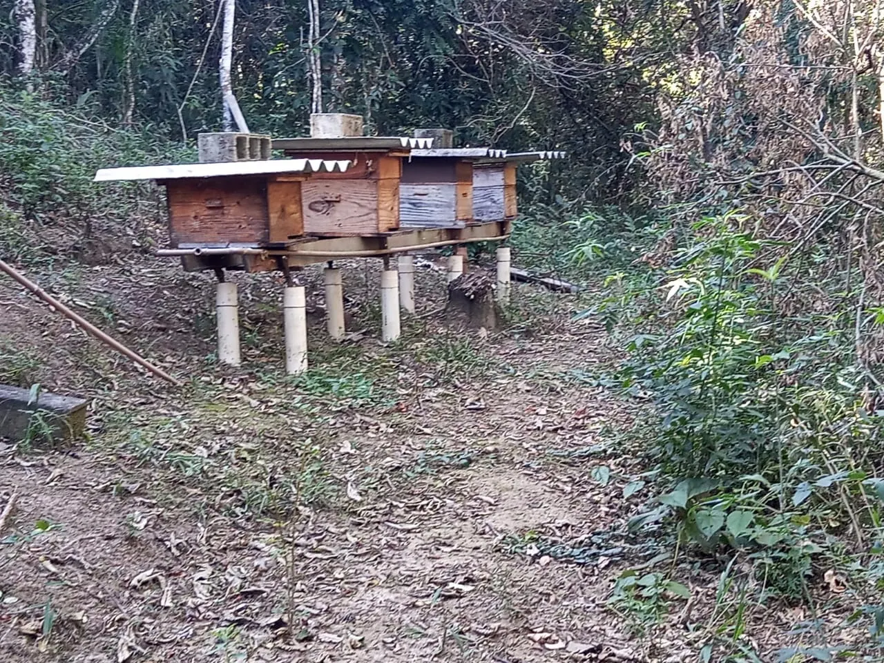 Chácara à venda de 2 ha em São José dos Campos, SP, Brasil