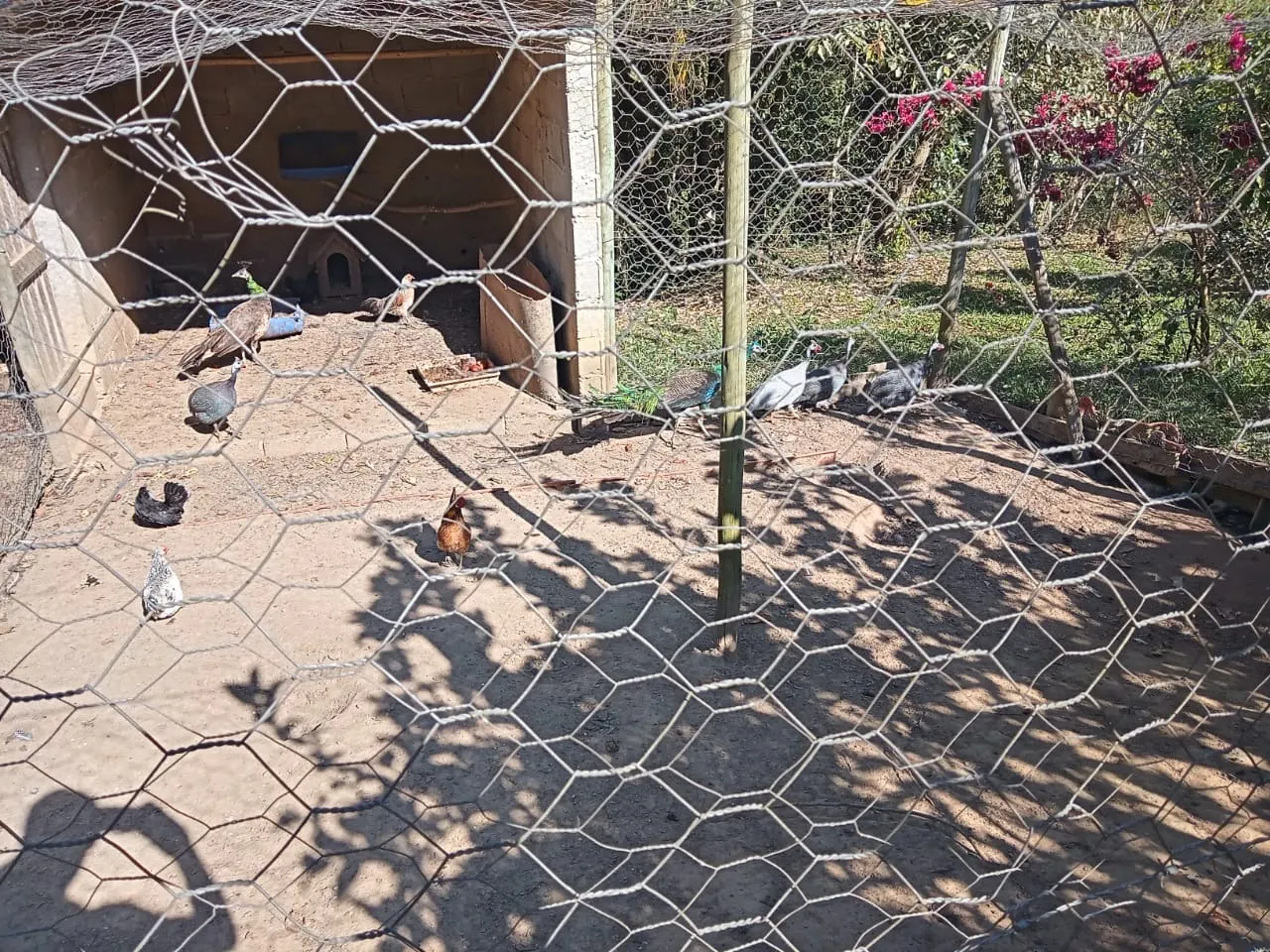 Chácara à venda de 2 ha em São José dos Campos, SP, Brasil