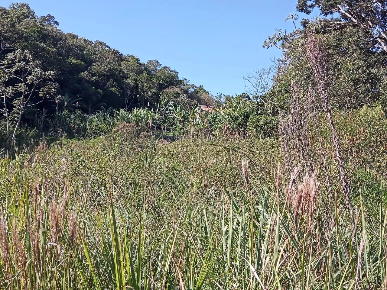 Chácara à venda de 2 ha em São José dos Campos, SP, Brasil