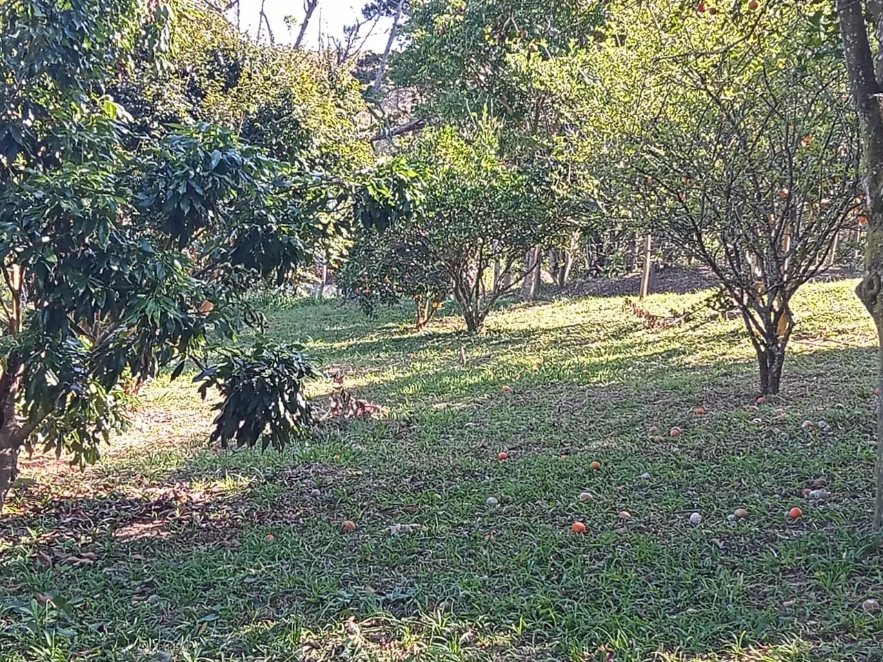 Chácara à venda de 2 ha em São José dos Campos, SP, Brasil