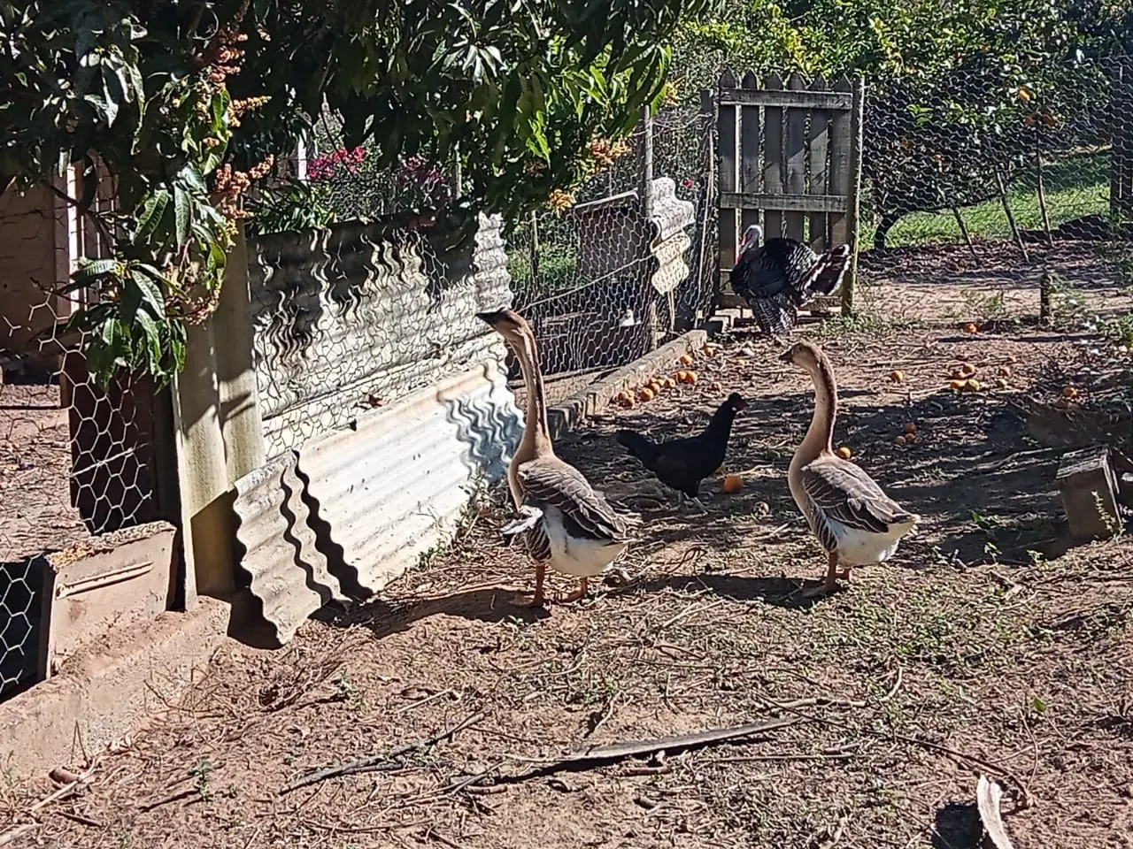 Chácara à venda de 2 ha em São José dos Campos, SP, Brasil