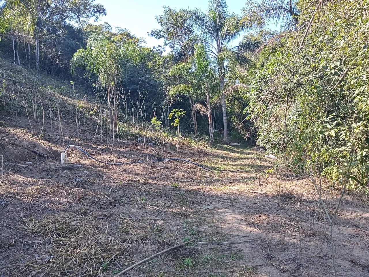 Chácara à venda de 2 ha em São José dos Campos, SP, Brasil