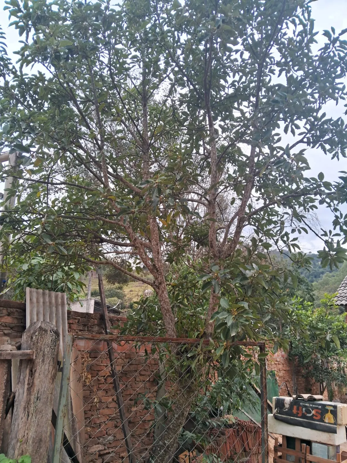 Chácara à venda de 2.500 m² em Mogi Guaçu, SP, Brasil