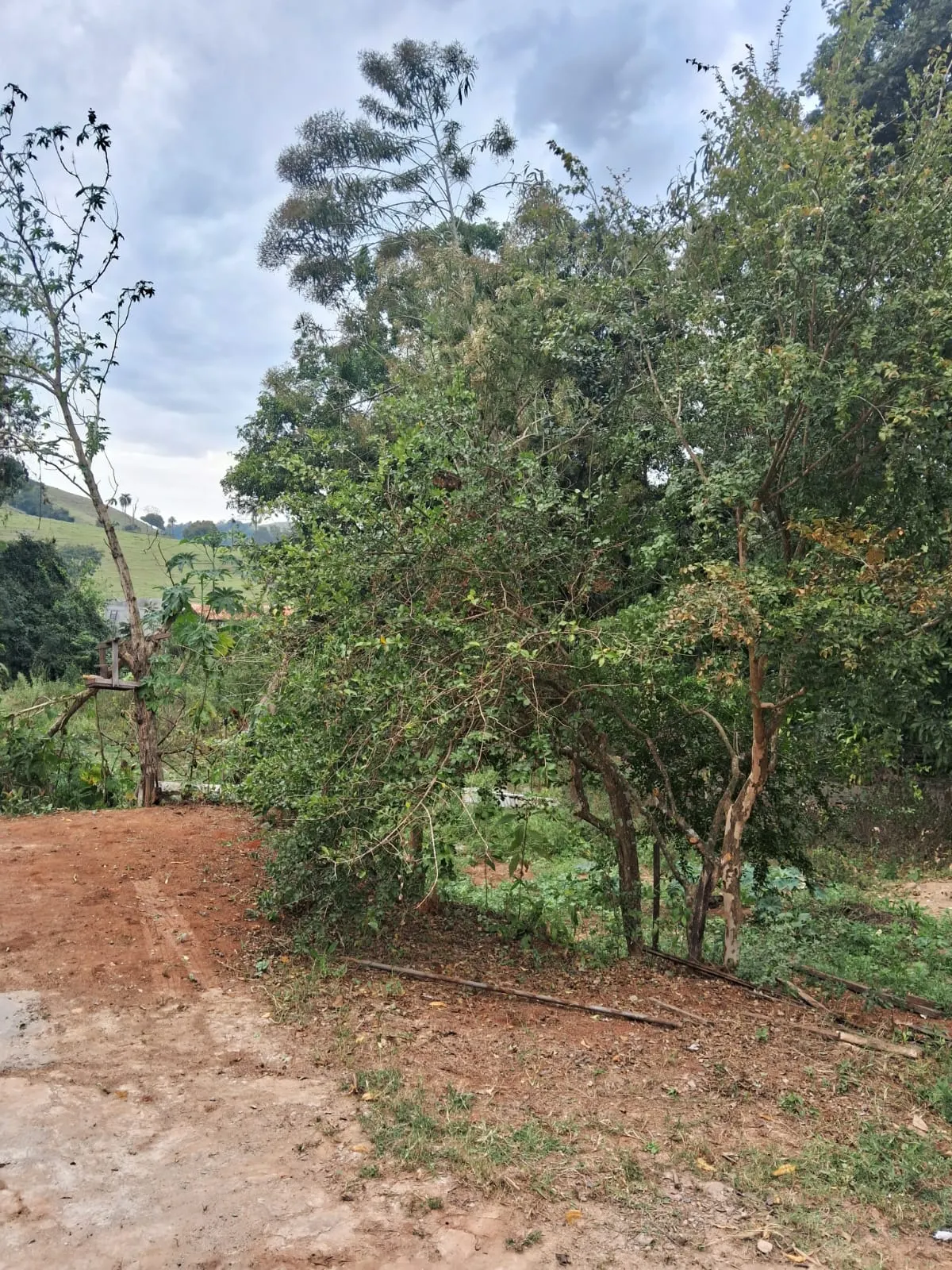 Chácara à venda de 2.500 m² em Mogi Guaçu, SP, Brasil