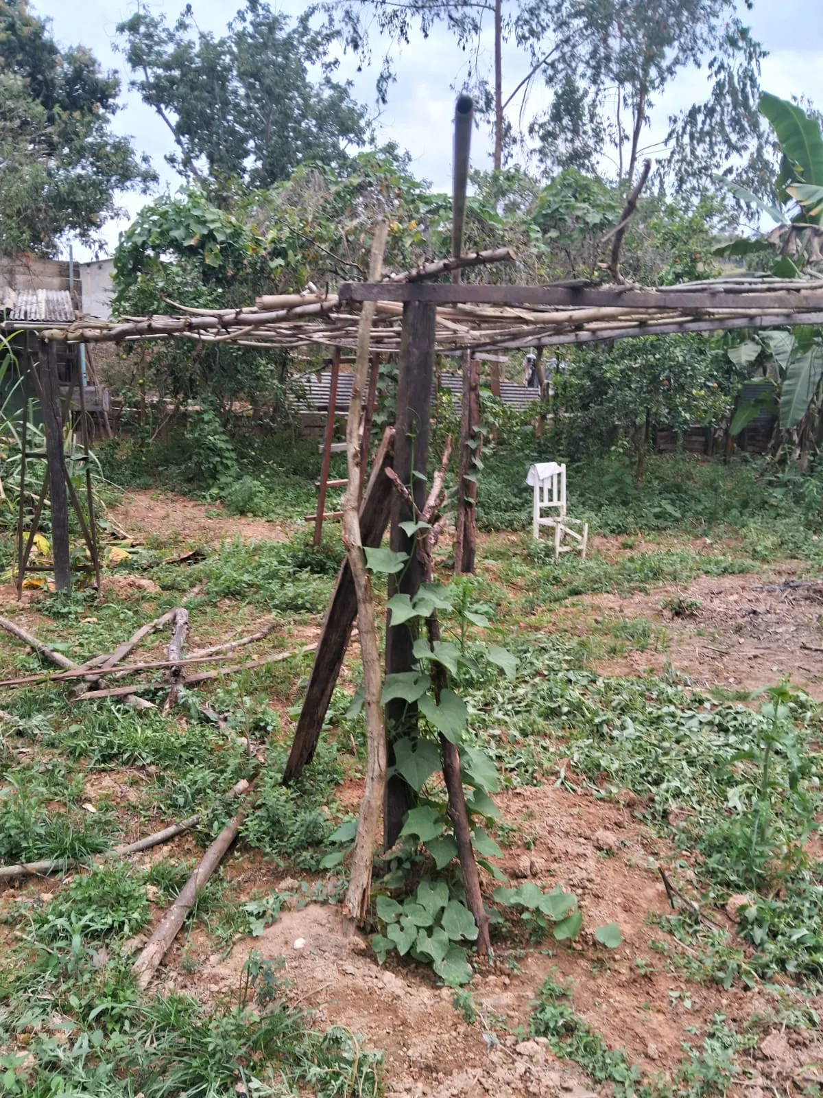 Chácara à venda de 2.500 m² em Mogi Guaçu, SP, Brasil