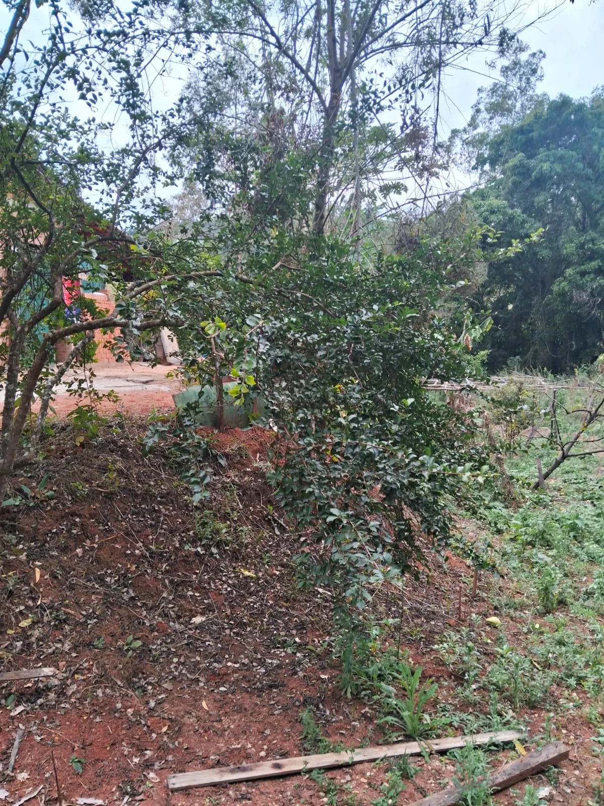 Chácara à venda de 2.500 m² em Mogi Guaçu, SP, Brasil