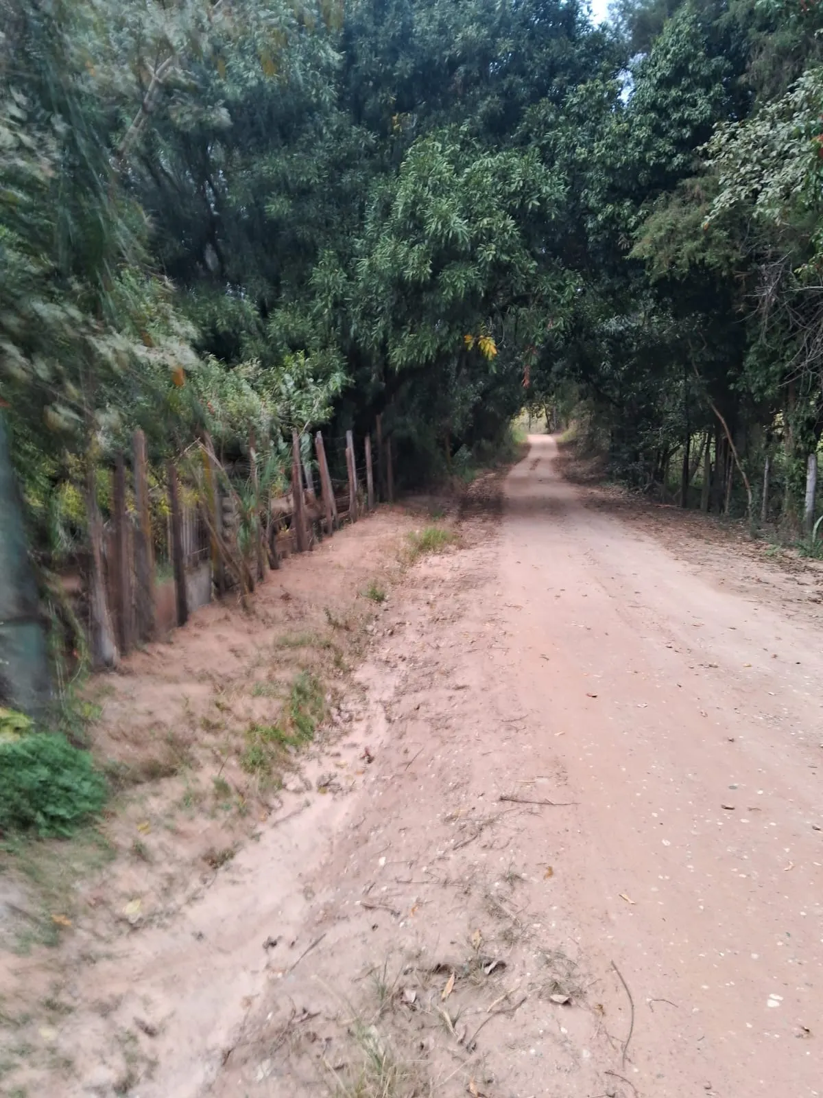 Chácara à venda de 2.500 m² em Mogi Guaçu, SP, Brasil