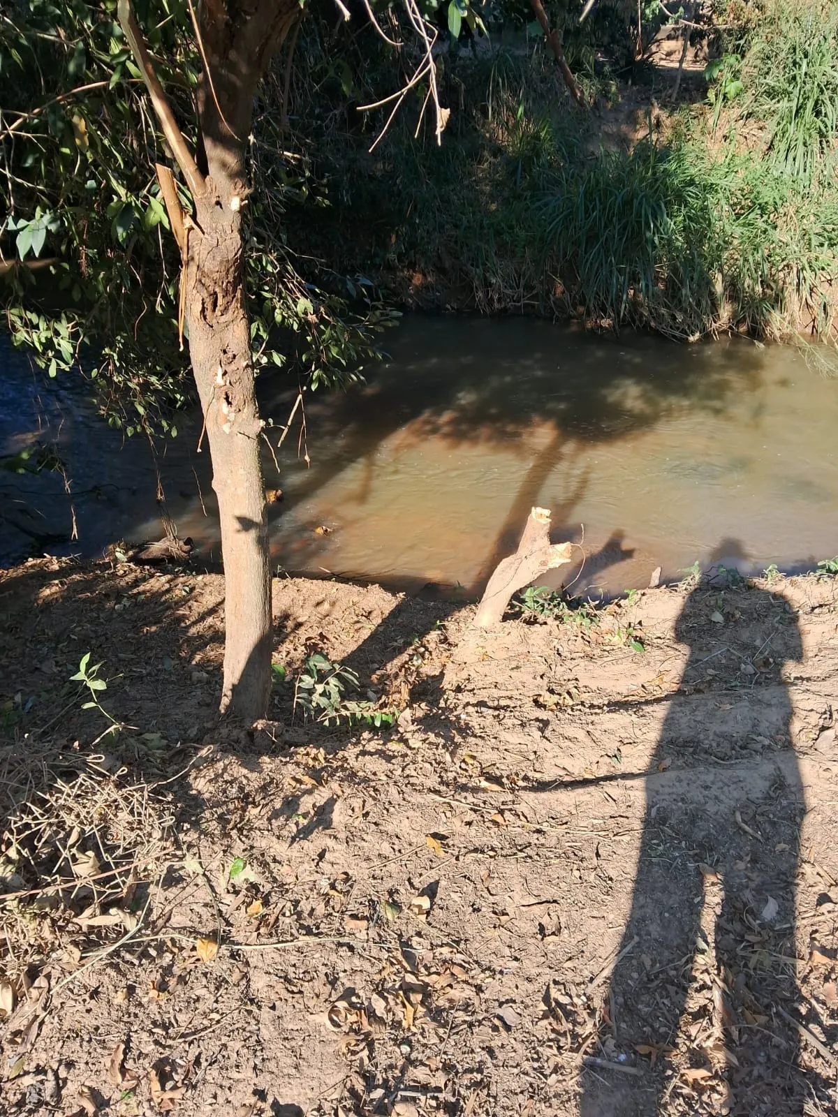 Chácara à venda de 2.500 m² em Mogi Guaçu, SP, Brasil
