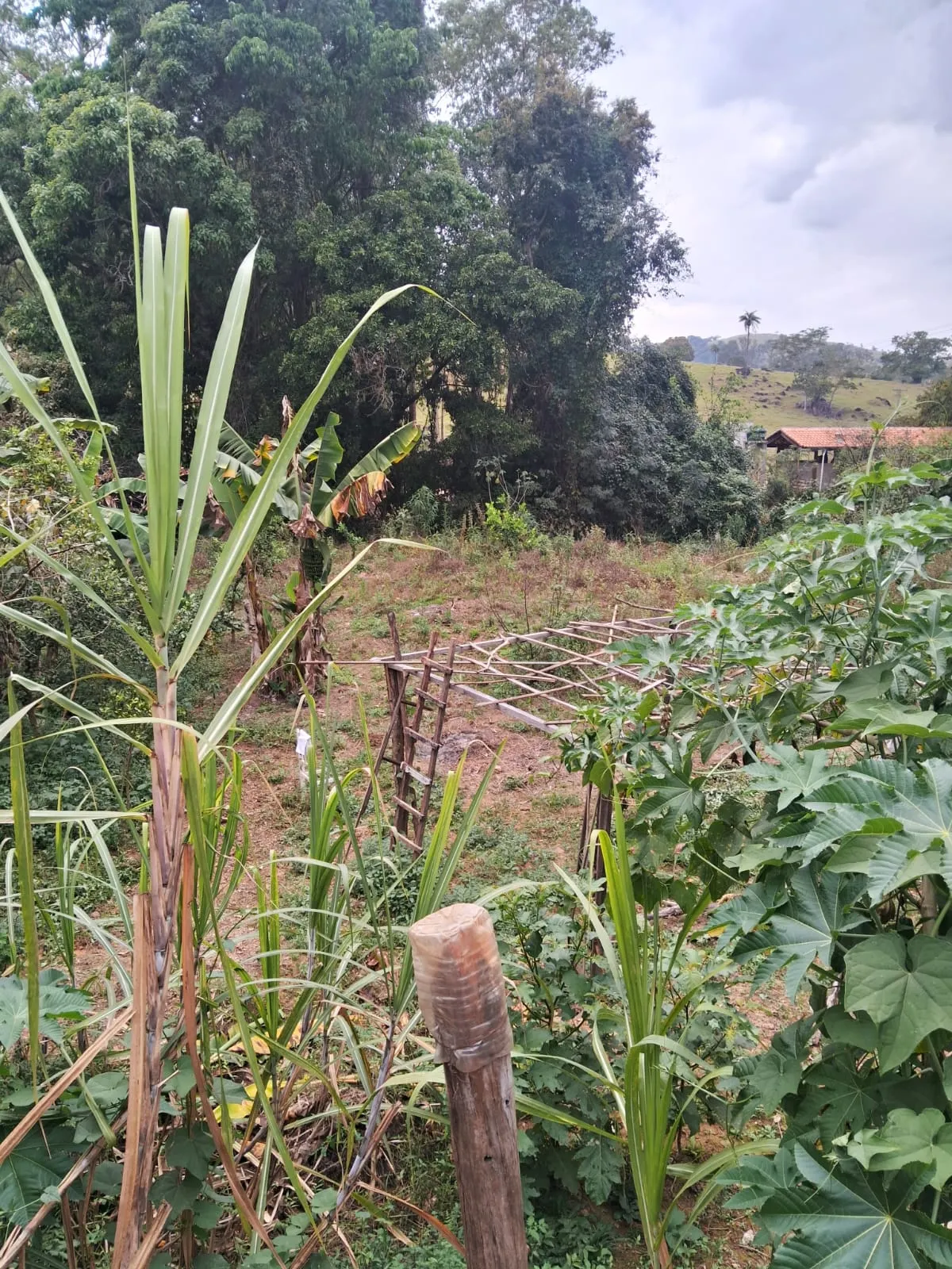 Chácara à venda de 2.500 m² em Mogi Guaçu, SP, Brasil