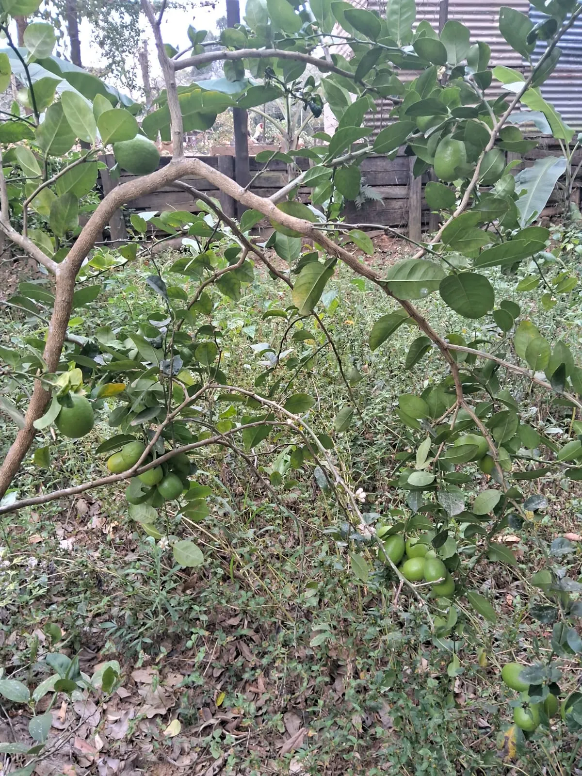 Chácara à venda de 2.500 m² em Mogi Guaçu, SP, Brasil