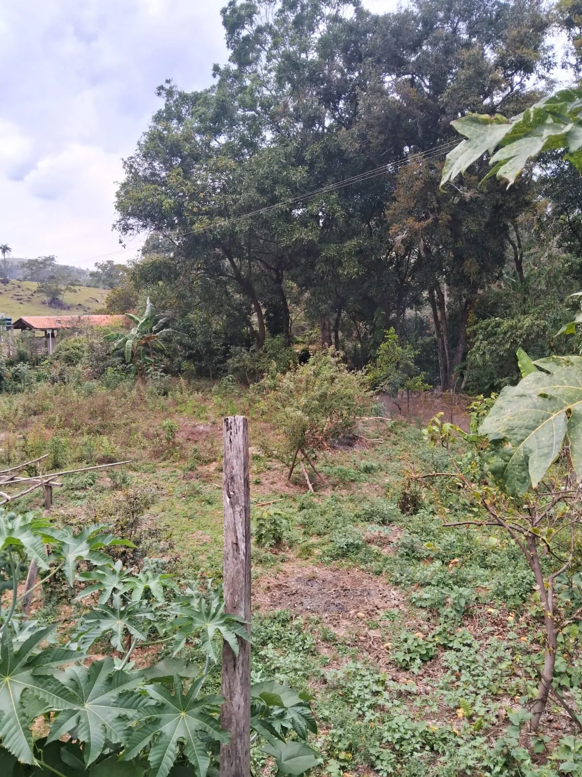 Chácara à venda de 2.500 m² em Mogi Guaçu, SP, Brasil