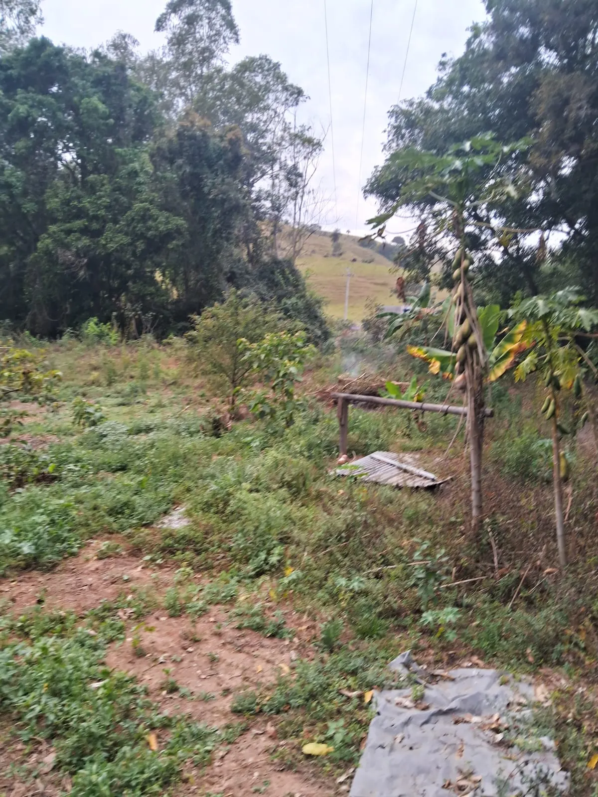 Chácara à venda de 2.500 m² em Mogi Guaçu, SP, Brasil