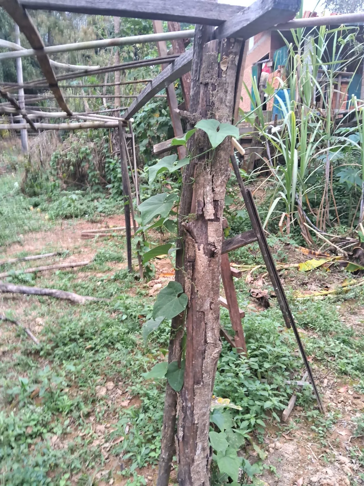 Chácara à venda de 2.500 m² em Mogi Guaçu, SP, Brasil