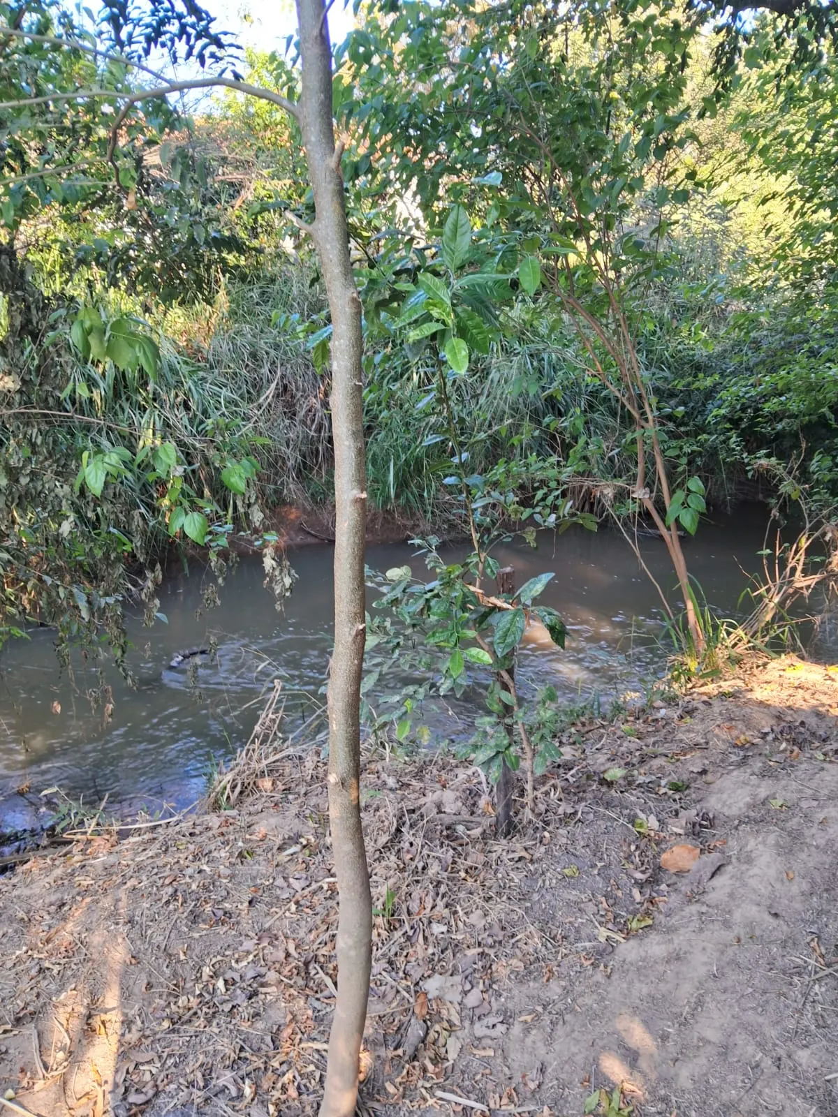 Chácara à venda de 2.500 m² em Mogi Guaçu, SP, Brasil