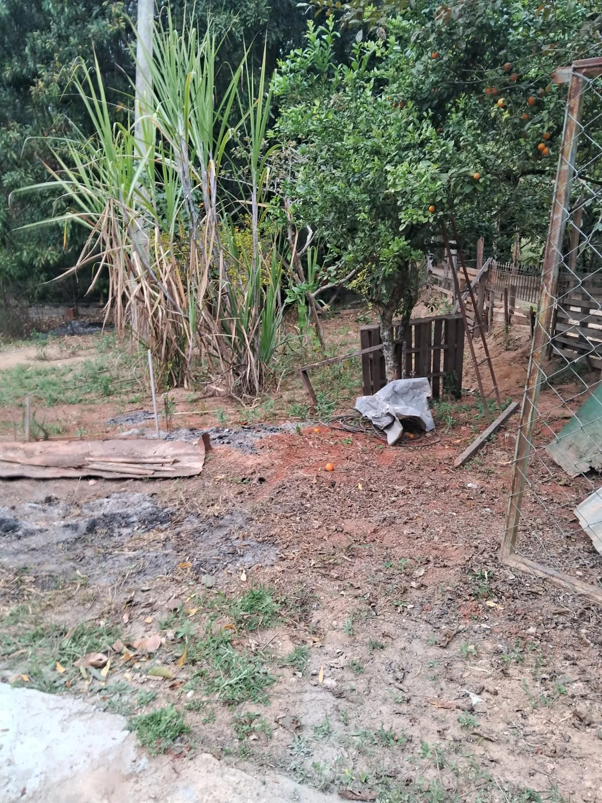 Chácara à venda de 2.500 m² em Mogi Guaçu, SP, Brasil