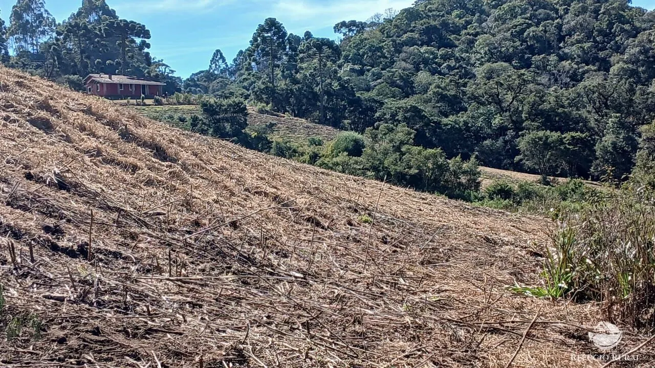 Chácara à venda de 2 ha em Gonçalves, MG, Brasil