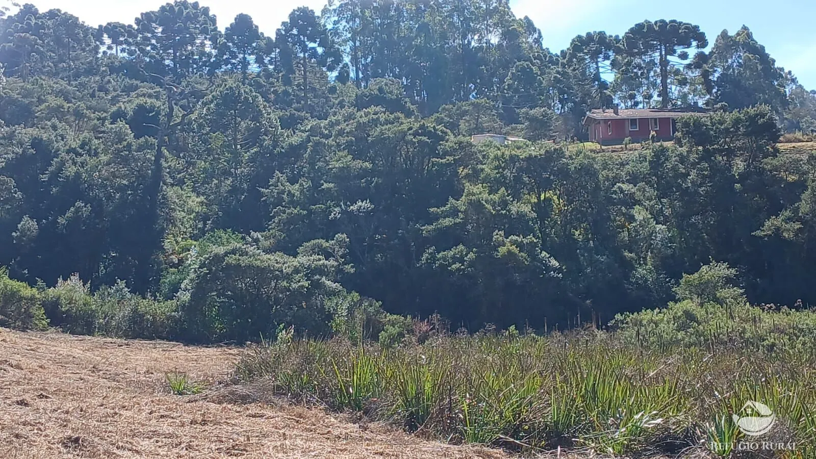 Chácara à venda de 2 ha em Gonçalves, MG, Brasil