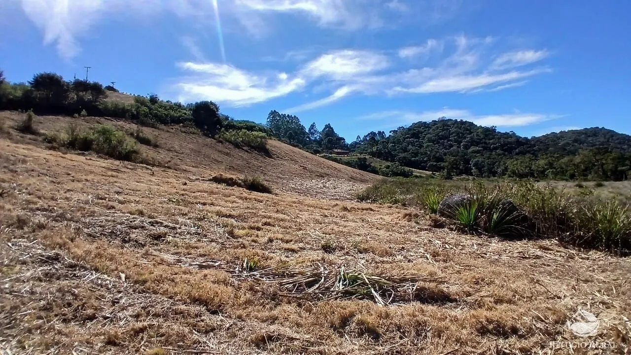 Chácara à venda de 2 ha em Gonçalves, MG, Brasil