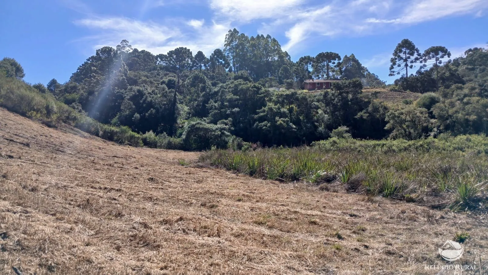 Chácara à venda de 2 ha em Gonçalves, MG, Brasil