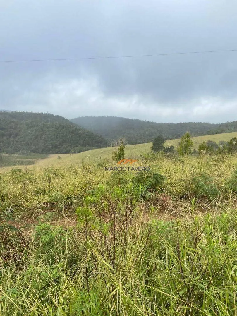 Fazenda à venda de 189 ha em Itapeva, SP, Brasil