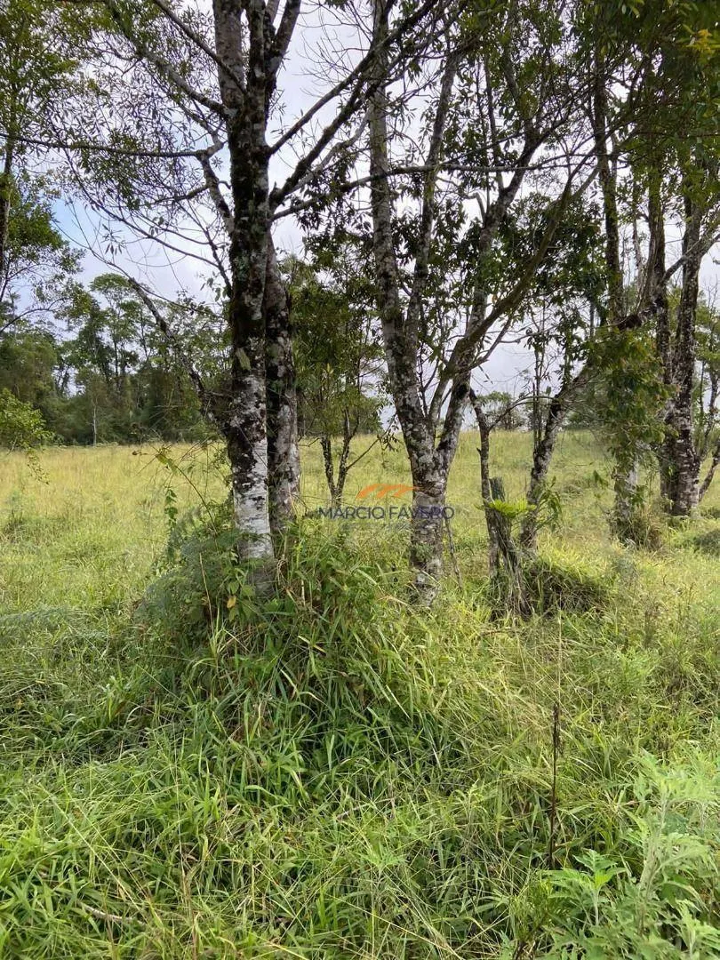 Fazenda à venda de 189 ha em Itapeva, SP, Brasil