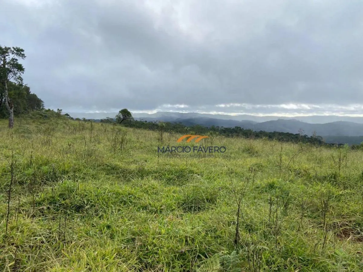Fazenda à venda de 189 ha em Itapeva, SP, Brasil