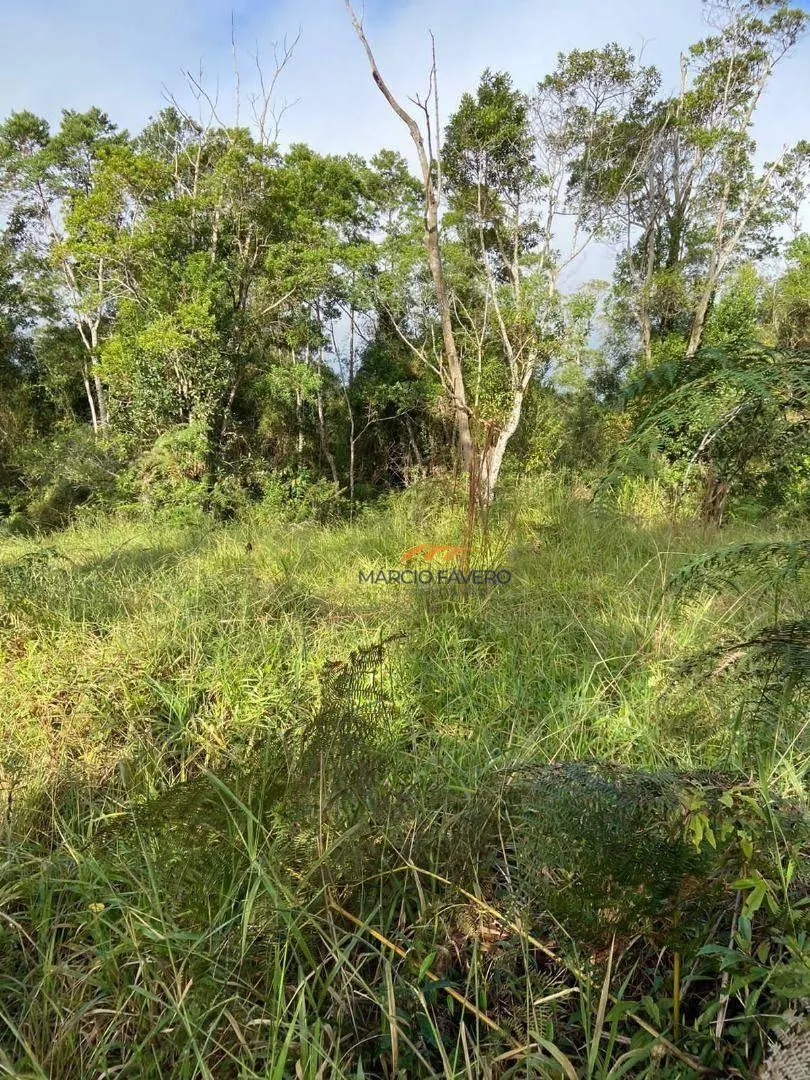 Fazenda à venda de 189 ha em Itapeva, SP, Brasil
