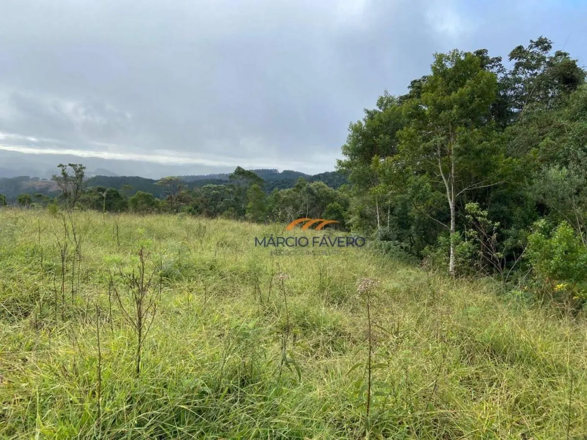 Fazenda à venda de 189 ha em Itapeva, SP, Brasil