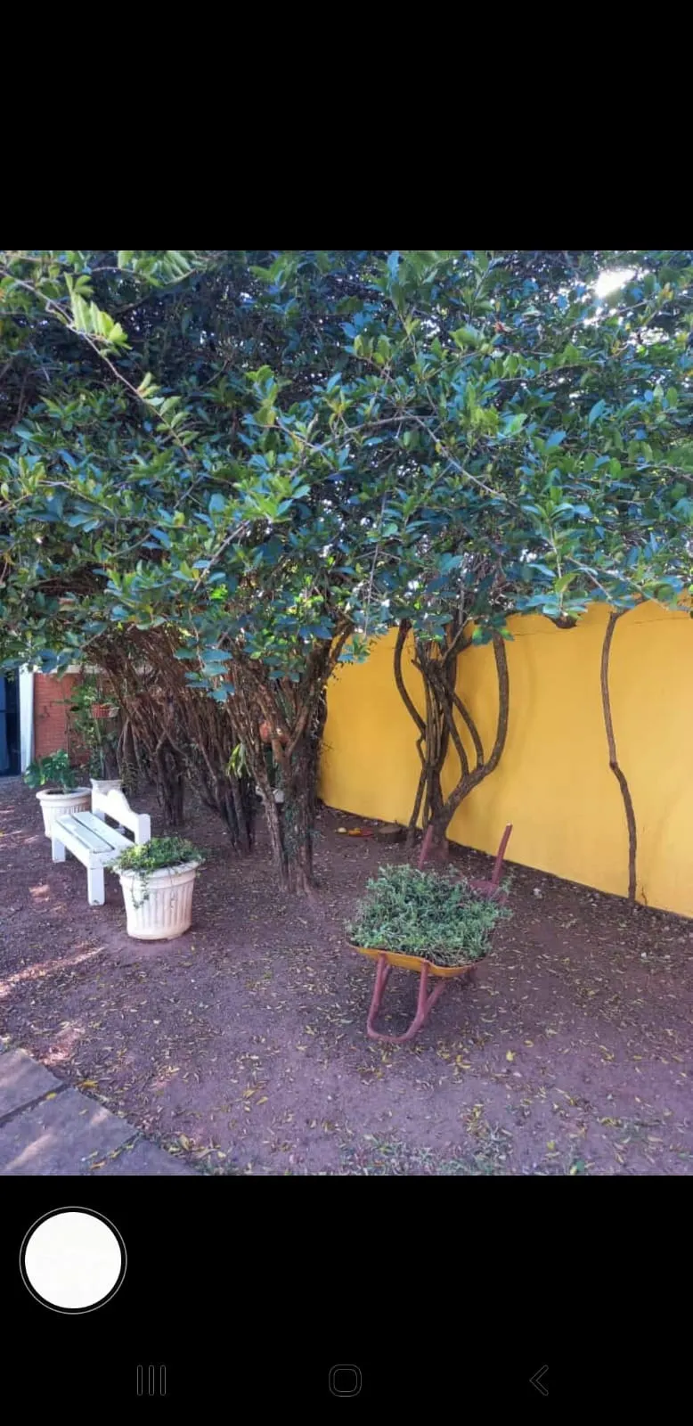 Chácara à venda de 3.320 m² em Nova Odessa, SP, Brasil