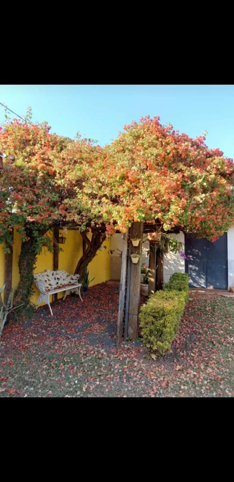 Chácara à venda de 3.320 m² em Nova Odessa, SP, Brasil