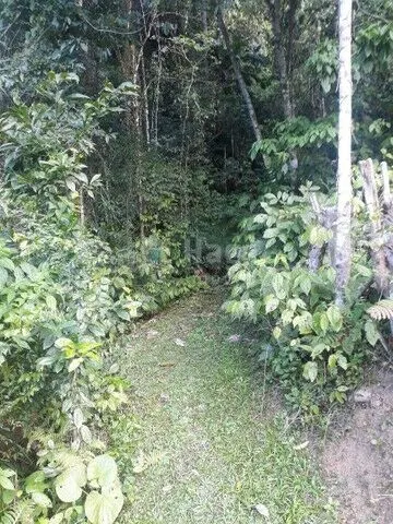 Fazenda à venda de 3 ha em Benedito Novo, SC, Brasil
