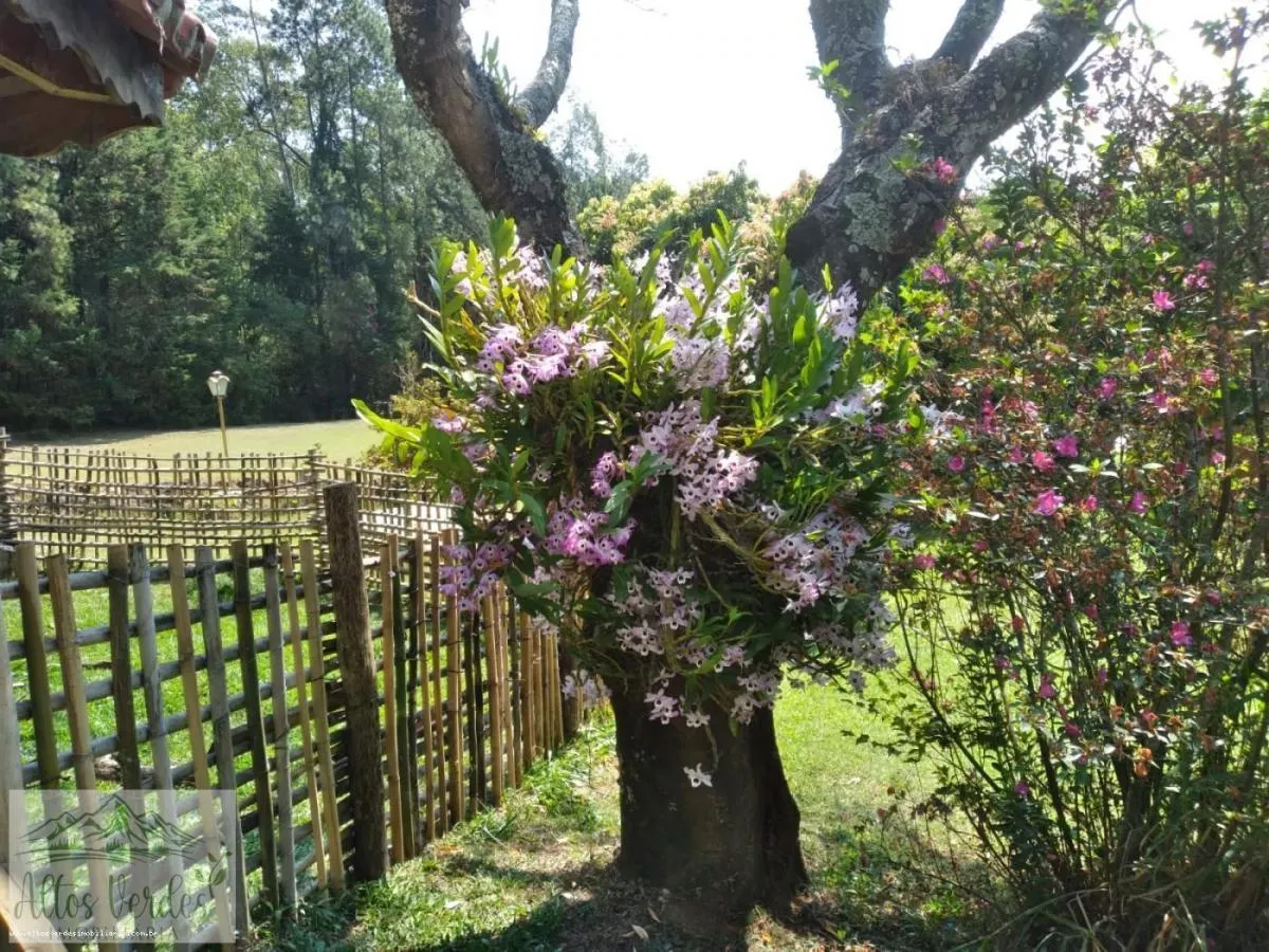 Sítio à venda de 4 ha em Pinhalzinho, SP, Brasil